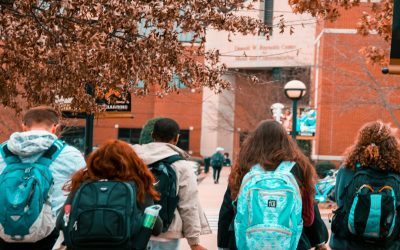 How to Choose the Best Study Abroad Consultants in Kerala